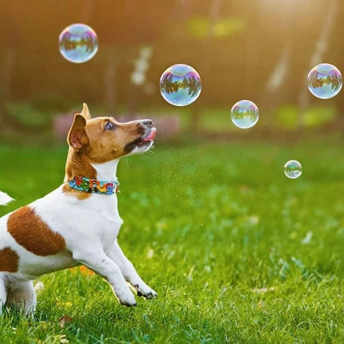 Bacon Bubbles - Image 2