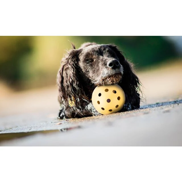 Ball with Holes 7cm - Image 6