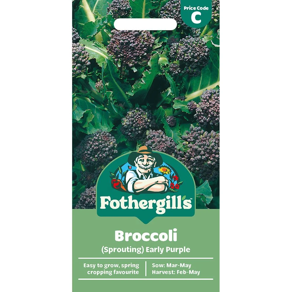 Broccoli (Sprouting) Early Purple