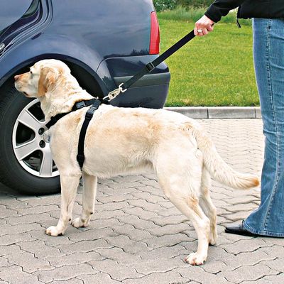 Car harness S: 30-60 cm - Image 4