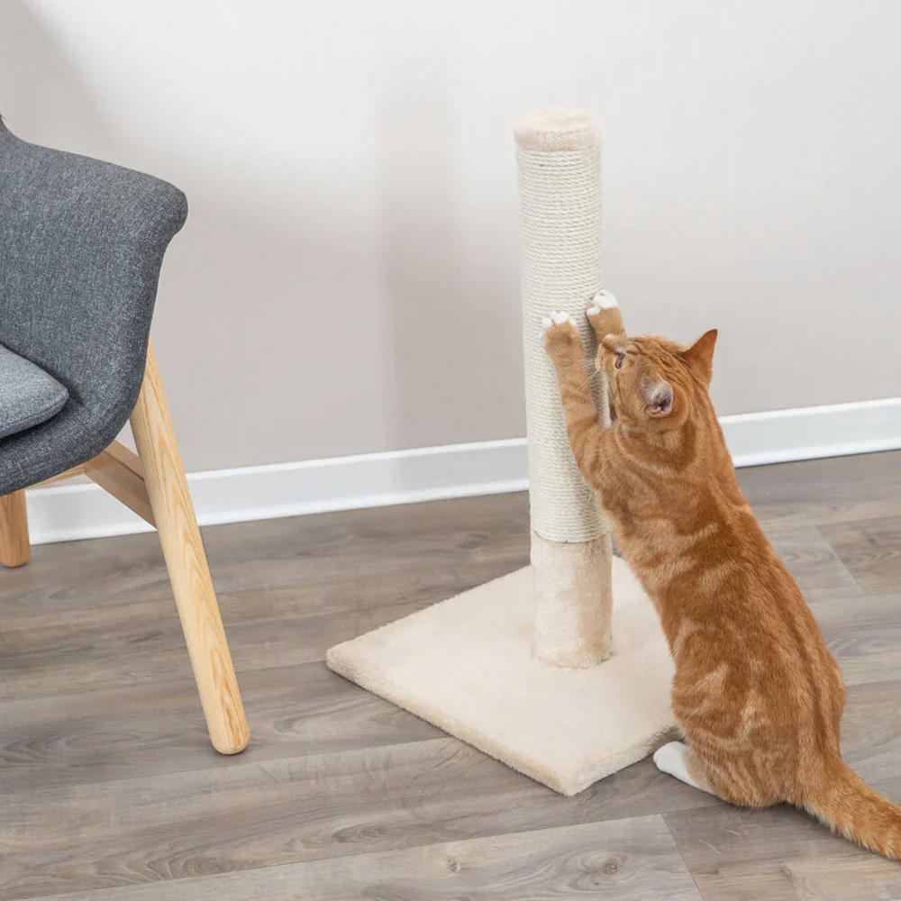 Cat Scratching Post Beige - Image 2