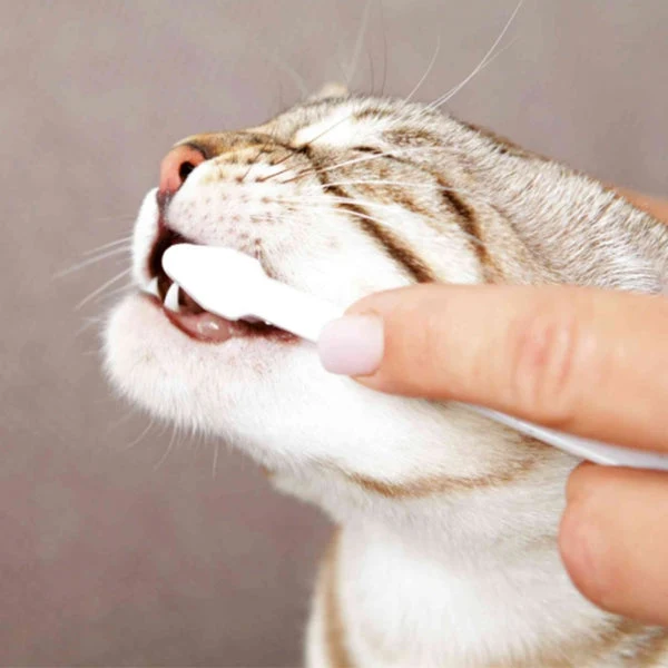 Dental Hygiene Set For Cats - Image 2