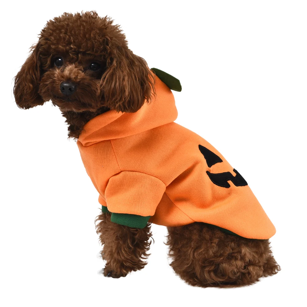 Dog costumes - pumpkin hoodie