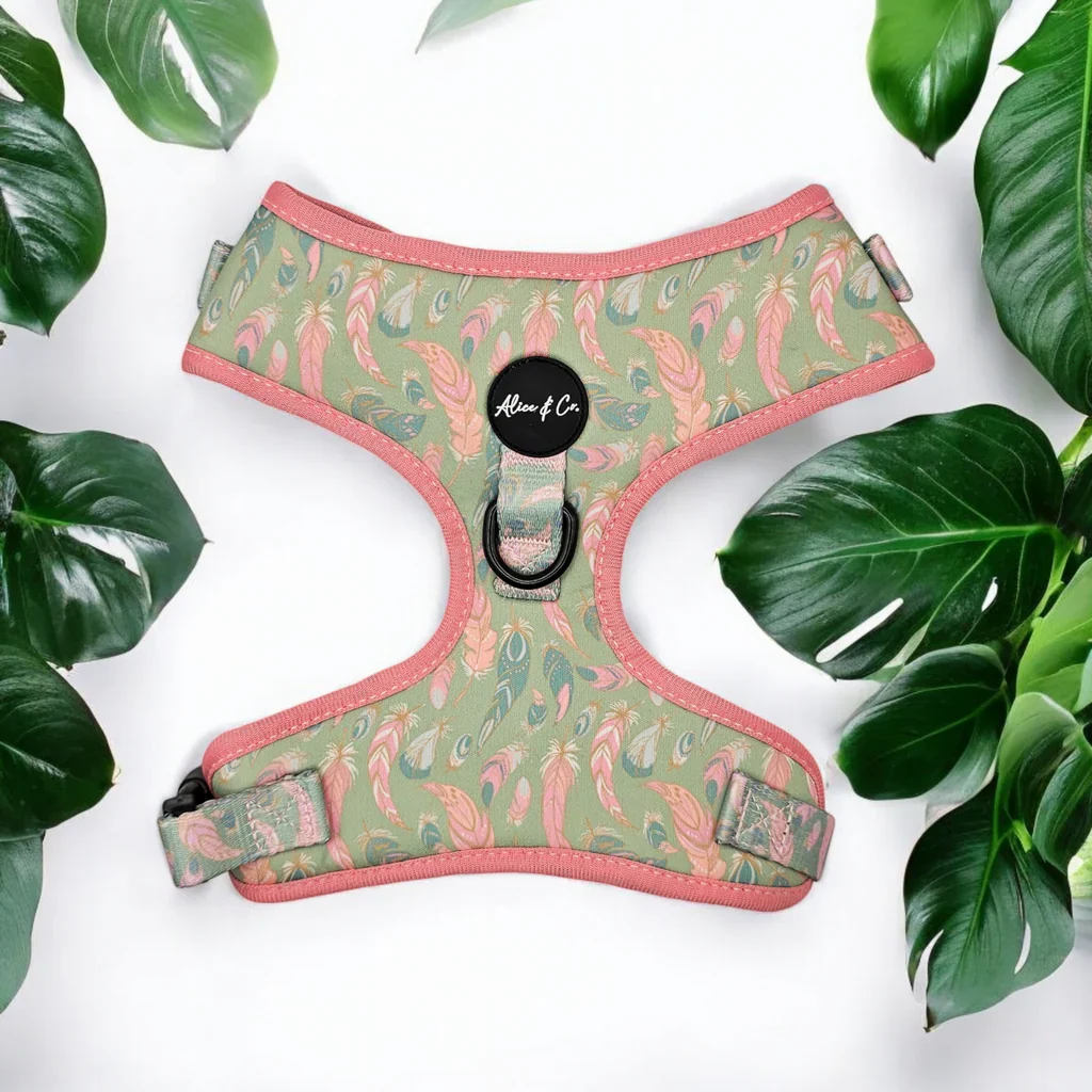Dog Harness - Step in Dog Harness