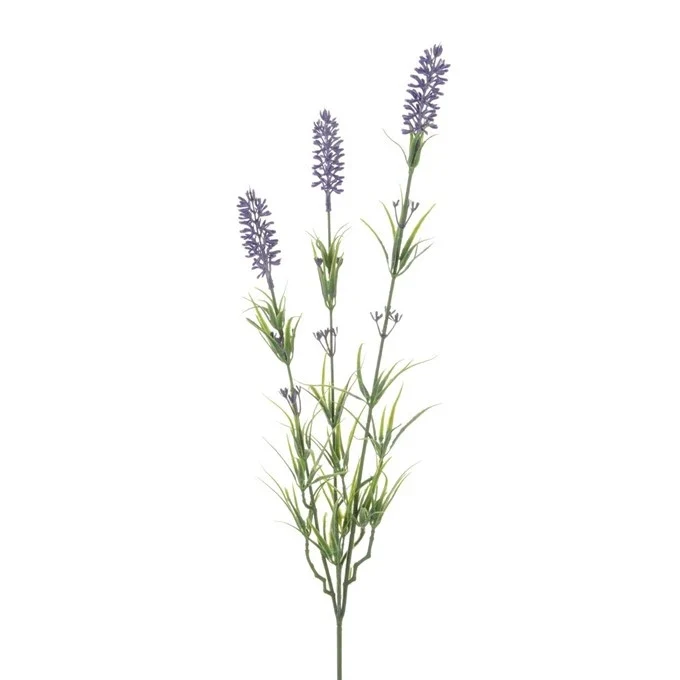 Dutch Lavender Stem x3 62cm