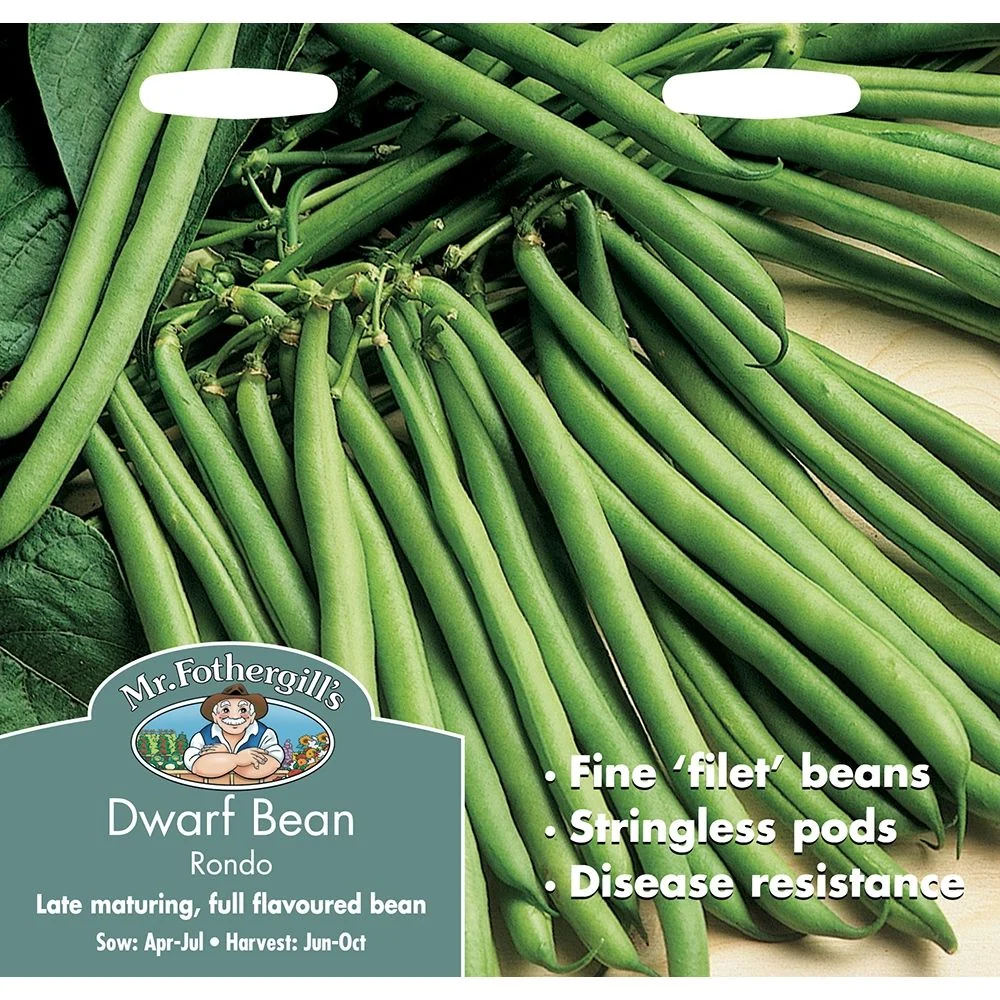 Dwarf French Bean Rondo