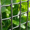 Garden & Plant Mesh 5m x 1m X50mm - Image 3