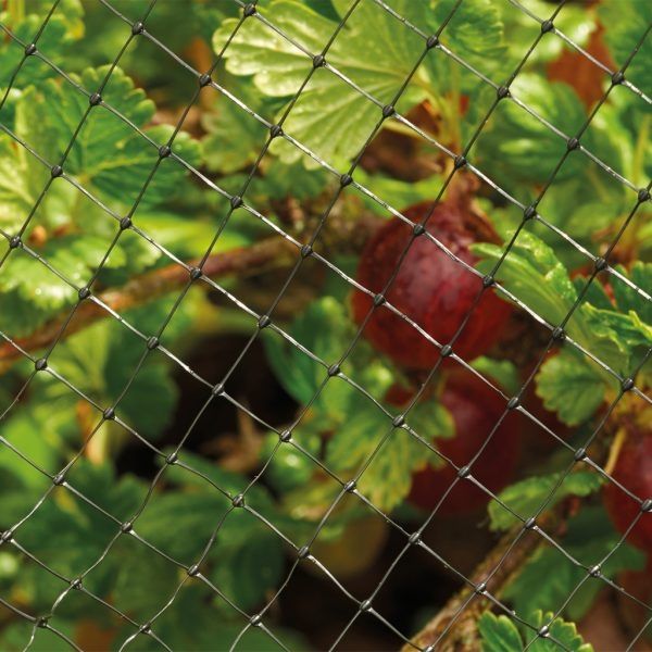 Grow It Crop & Pond Netting 4x2m - Image 2