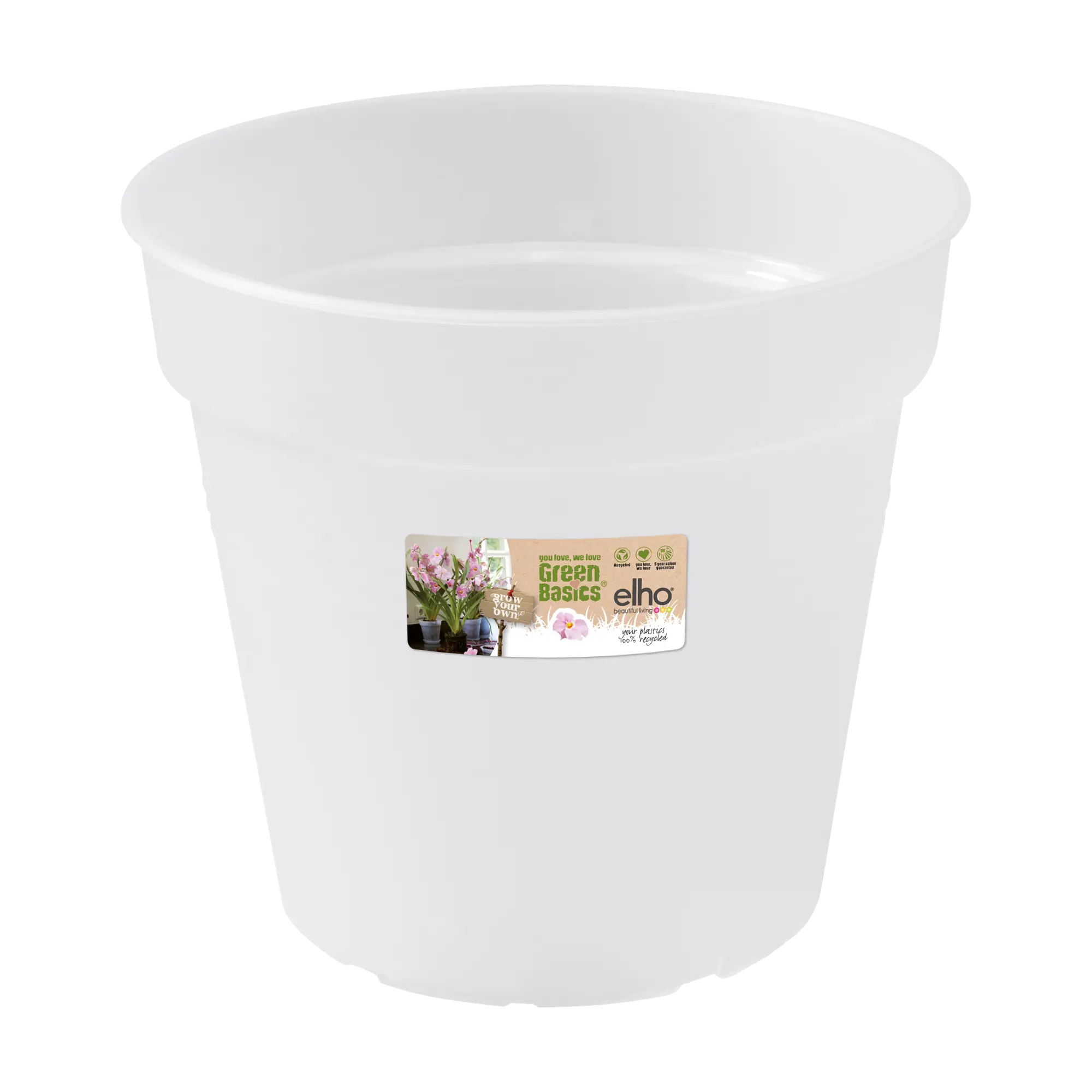 Green Basics Orchid Transparent - Image 2