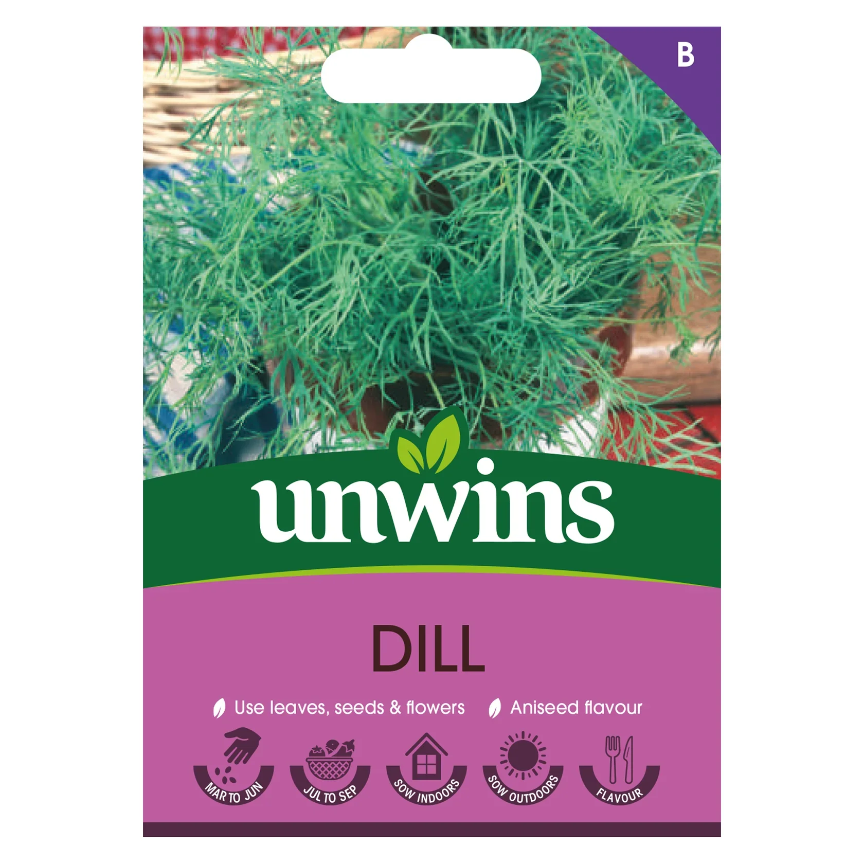 Herb Dill