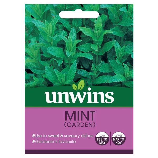 Herb Mint (Garden)