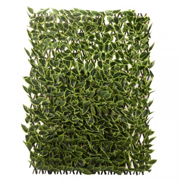 Hosta Leaf 180X90Cm Trellis - Image 2