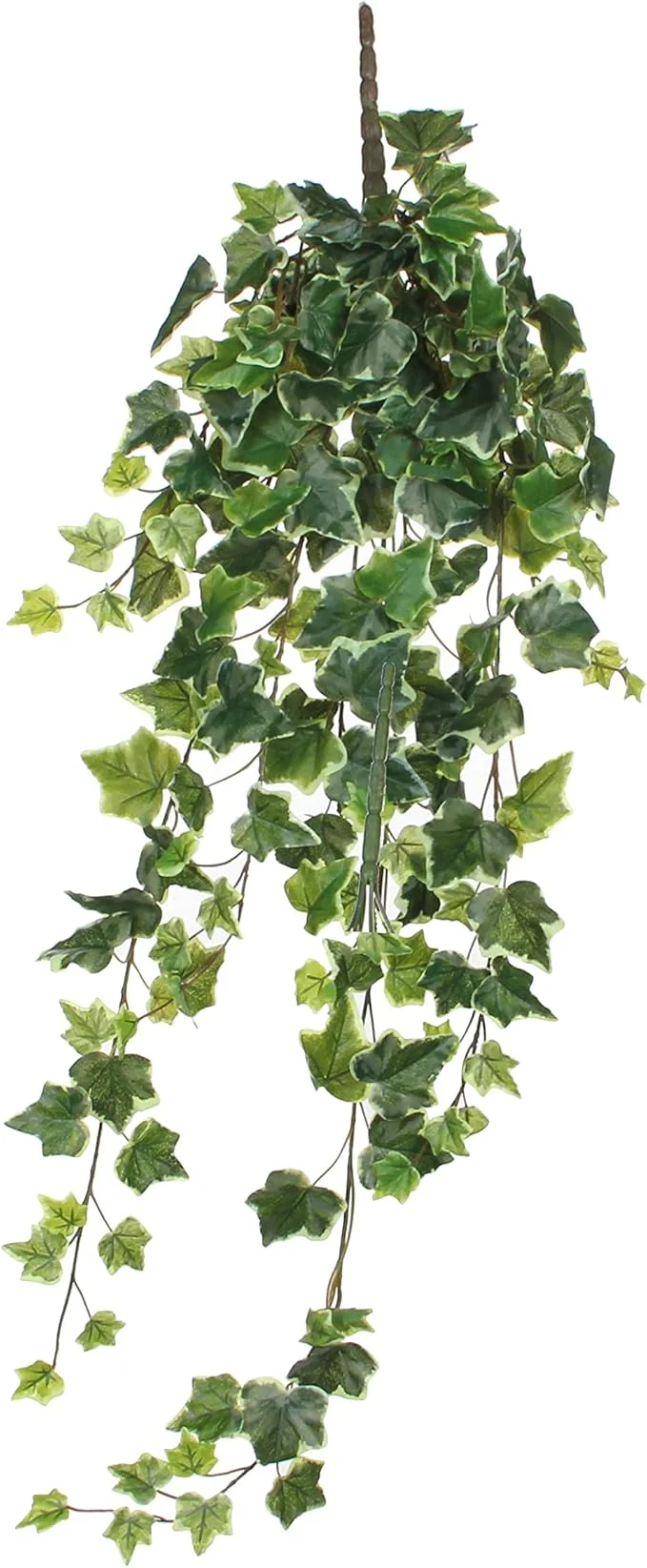 Ivy hanging green variegated - L 86cm