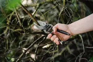 Kent & Stowe Traditional Secateurs Twin Pack - Image 2