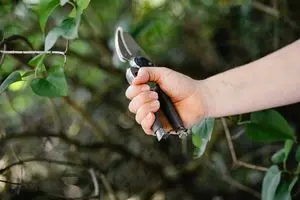 Kent & Stowe Traditional Secateurs Twin Pack - Image 3