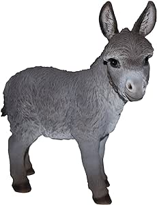 NF Donkey
