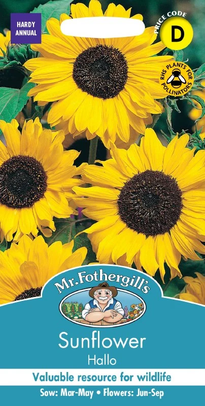 Nh-Sunflower Hallo