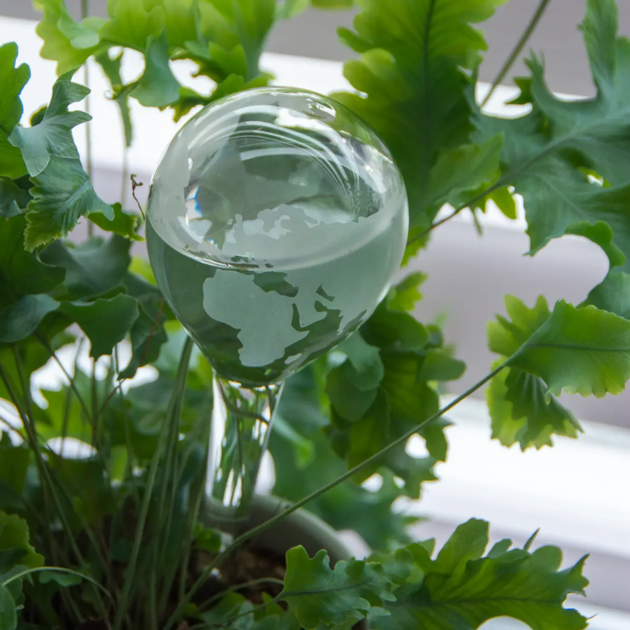 Esschert Plant Waterer Glass Globe - Image 2