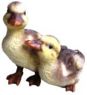 Playful Ducklings