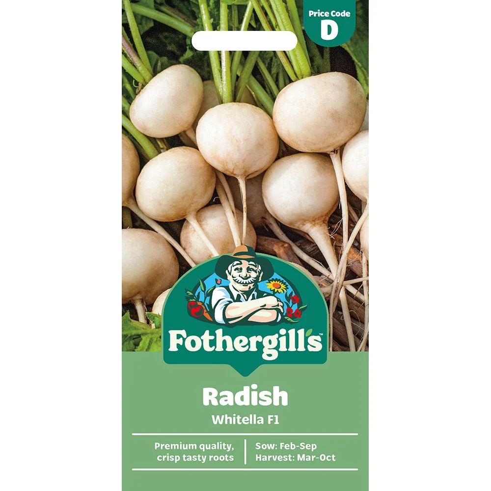 Radish Whitella F1