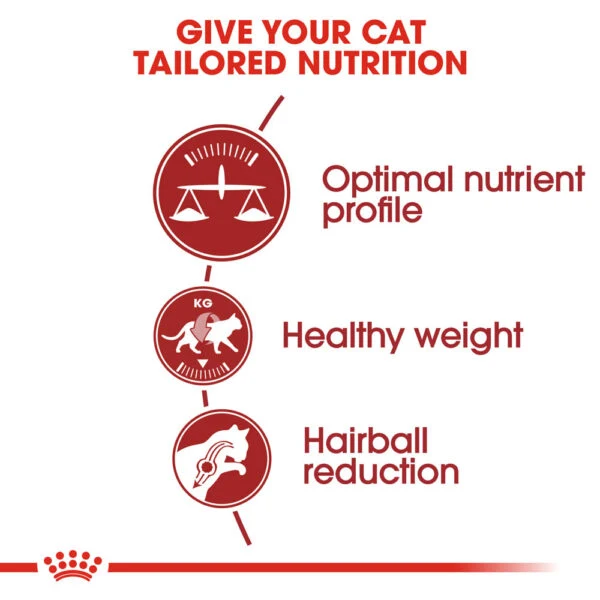 Royal Canin | Canin Fit | Cat Food | 400g - Image 5