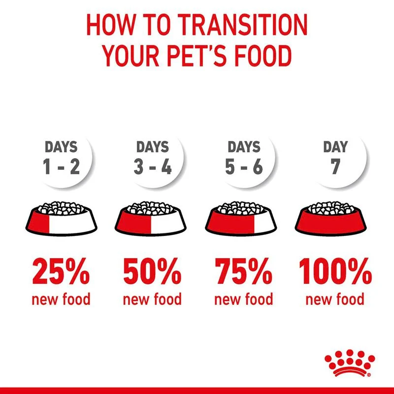 Royal Canin | Cat Food | Hair & Skin | 400g - Image 10