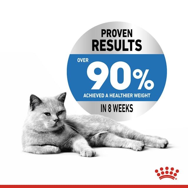 Royal Canin | Cat Food | Light Weight Care | 1.5kg - Image 2