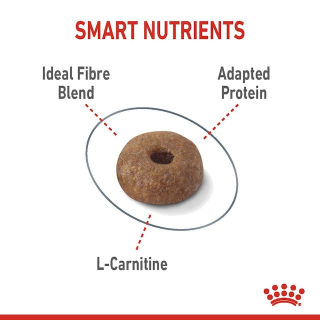 Royal Canin | Cat Food | Light Weight Care | 1.5kg - Image 4
