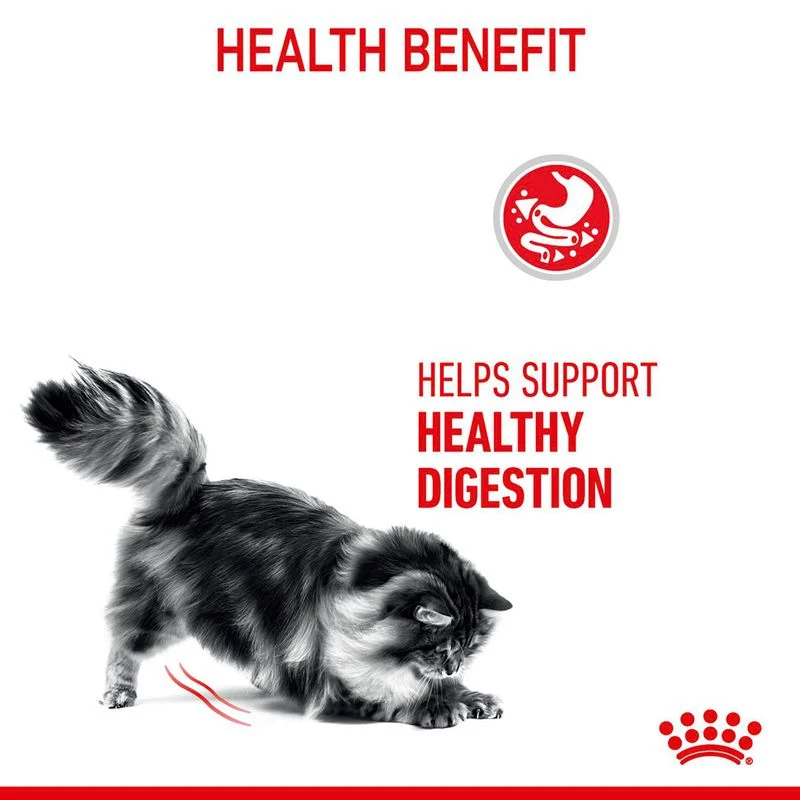 Royal Canin | Digestive Care | Cat Food | 4kg - Image 7