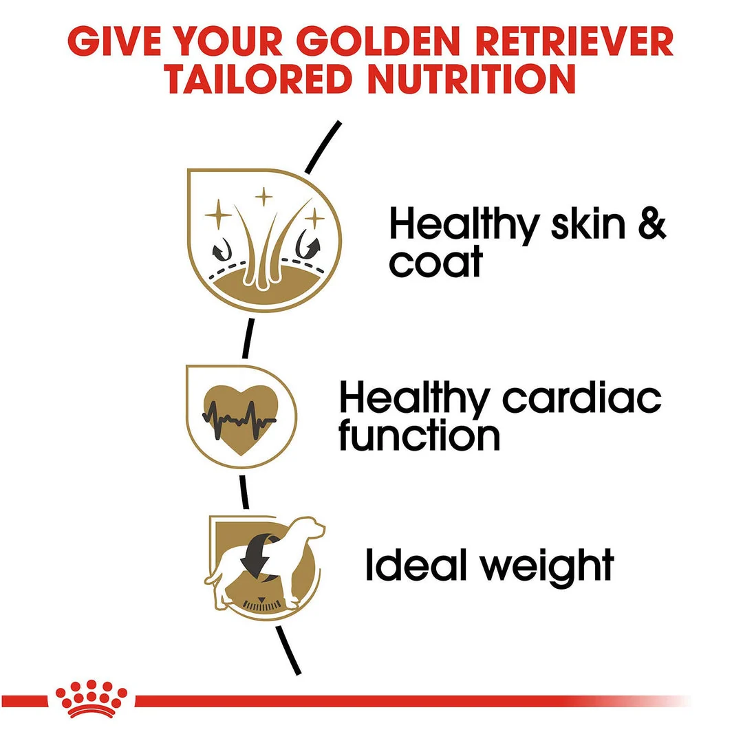 Royal Canin Golden Retriever | Adult | 12kg - Image 3