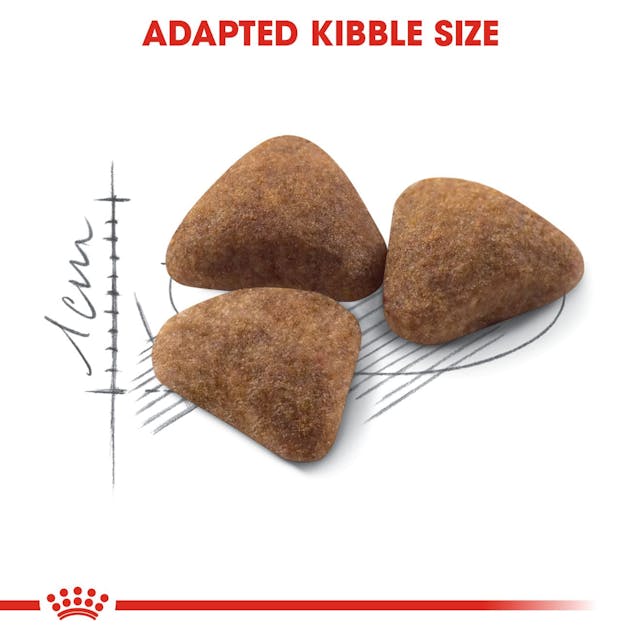 Royal Canin | Indoor Cat Food | 400g - Image 3