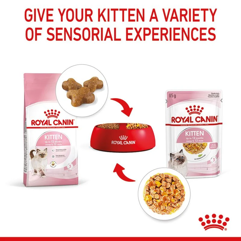 Royal Canin | Kitten Pouch | Jelly | 85g - Image 6