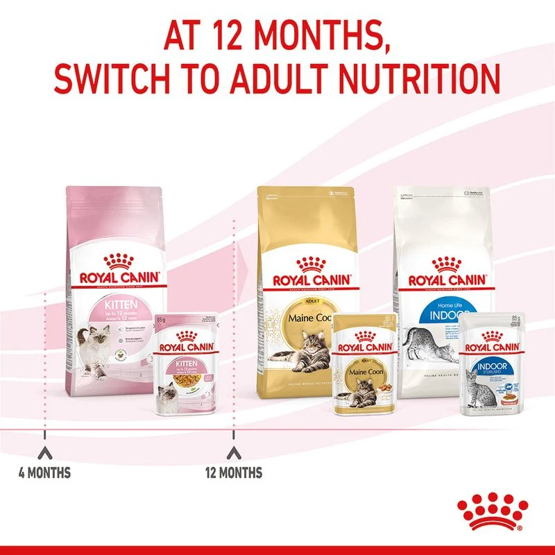 Royal Canin | Kitten Pouch | Jelly | 85g - Image 8