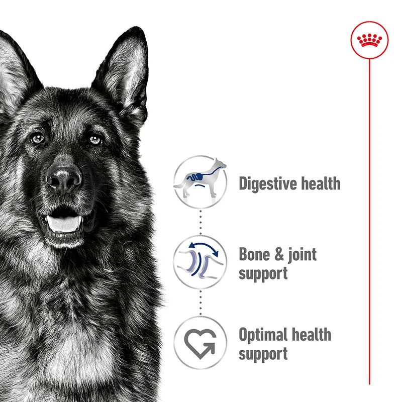 Royal Canin - Maxi - Adult | 4kg - Image 2
