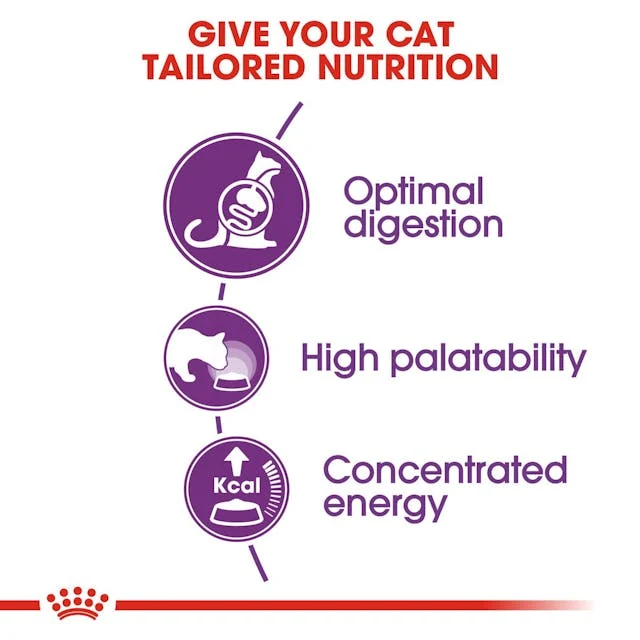 Royal Canin | Sensible Cat | 2kg - Image 4