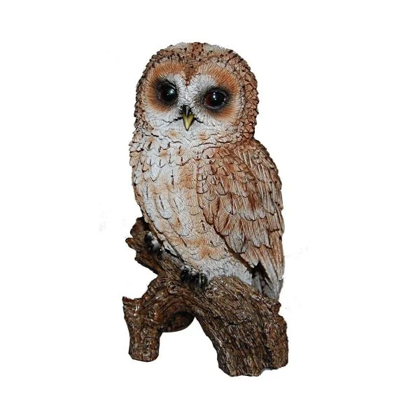 Real Life Tawny Owl