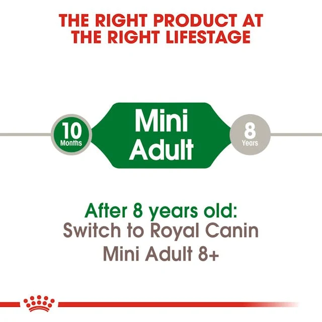 Royal Canin - Mini - Adult | 2kg - Image 5