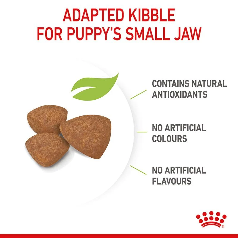 Royal Canin | Mini | Puppy/Junior | 8kg - Image 2