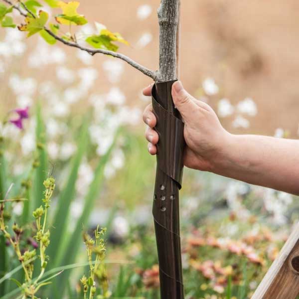 Spiral Tree Guard 60Cm - Image 2