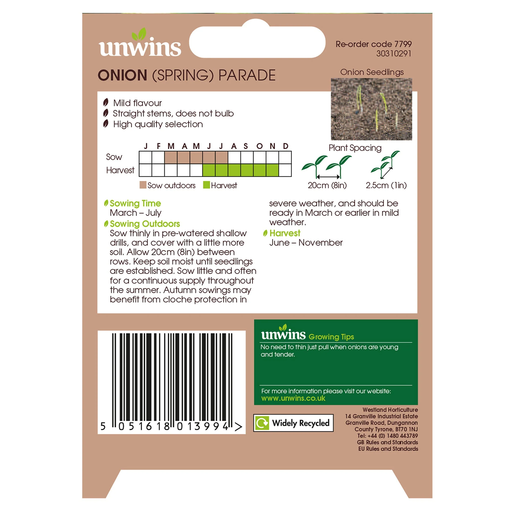 Spring Onion Parade Seeds - Image 2