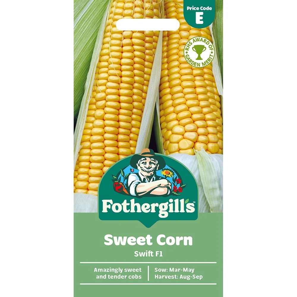 Sweet Corn Swift F1